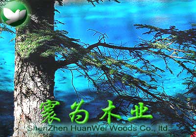 �D��從�ľ�I �c���ɷŴ�