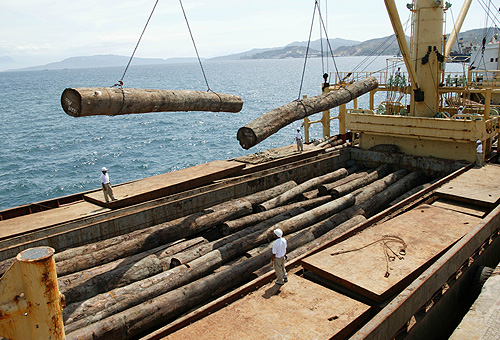 �D�����_˹ľ�� �c���ɷŴ�