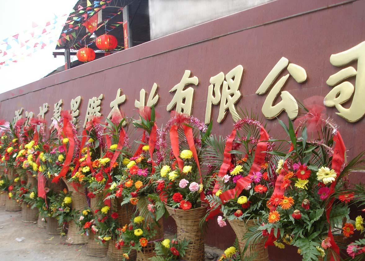 �D����˾���� �c���ɷŴ�