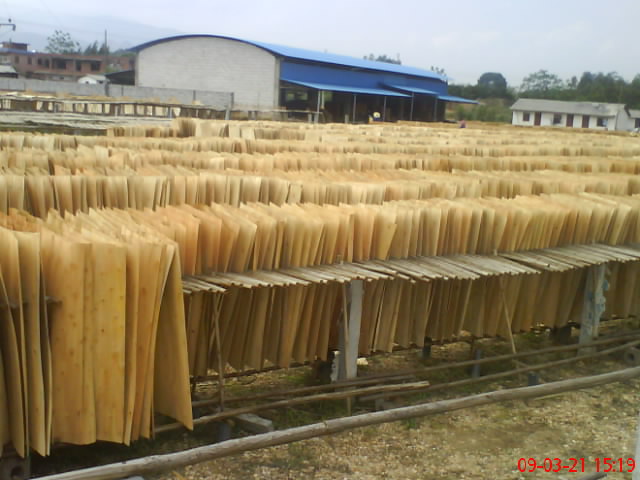 �D�����ΰ� �c(di��n)���ɷŴ�