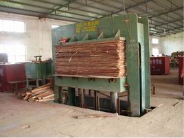 �D��܇�g�O�� �c���ɷŴ�