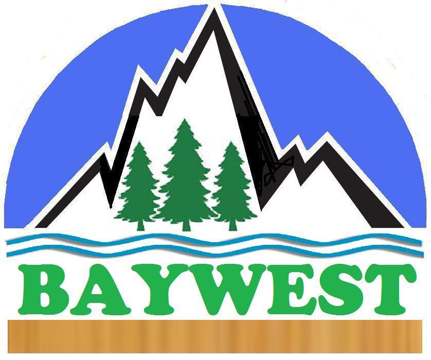 �D���՘� �c���ɷŴ�