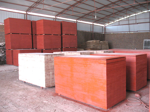 �D���}�� �c���ɷŴ�