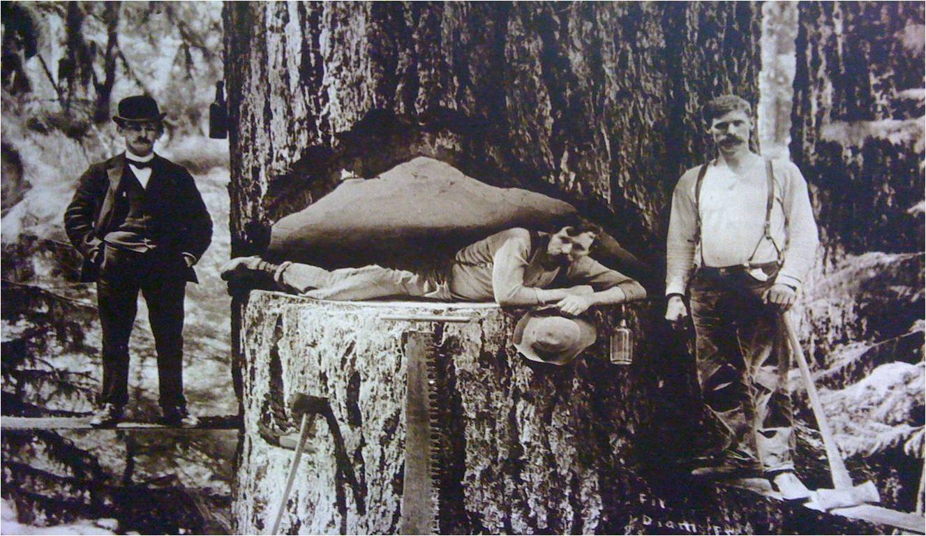 �D�������ɣ �c���ɷŴ�