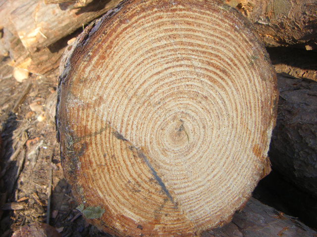 �D������-���Ʒ-�a(ch��n)Ʒ �c(di��n)���ɷŴ�