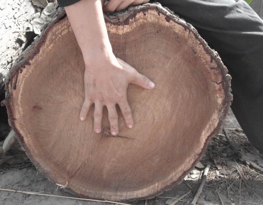 �D������ ������ľ �c���ɷŴ�