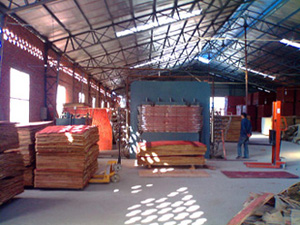 �D���aƷ��Ƭ �c���ɷŴ�