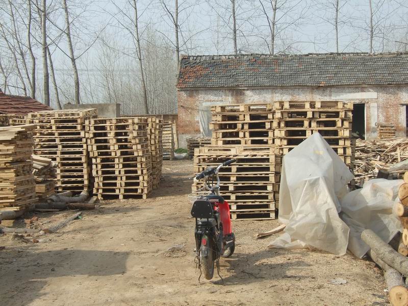 �D���ֵ�ľ�I�S�r��B9 �c���ɷŴ�