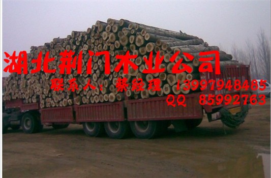 �D�������G�Tľ�I(y��)��˾ �c���ɷŴ�