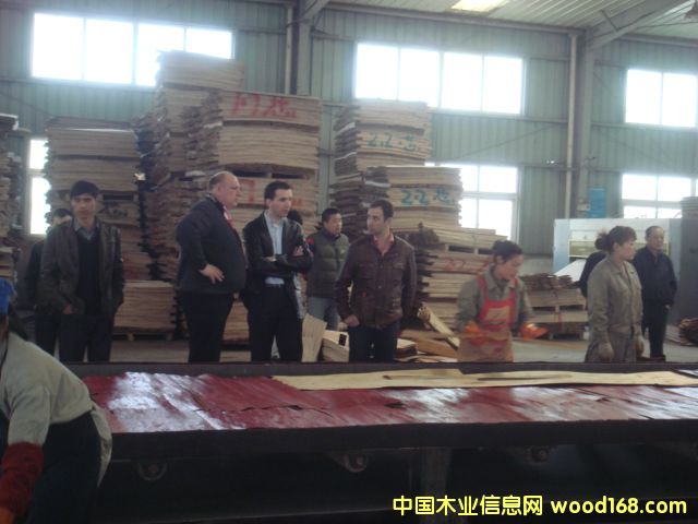 �D�����a�F�� �c���ɷŴ�