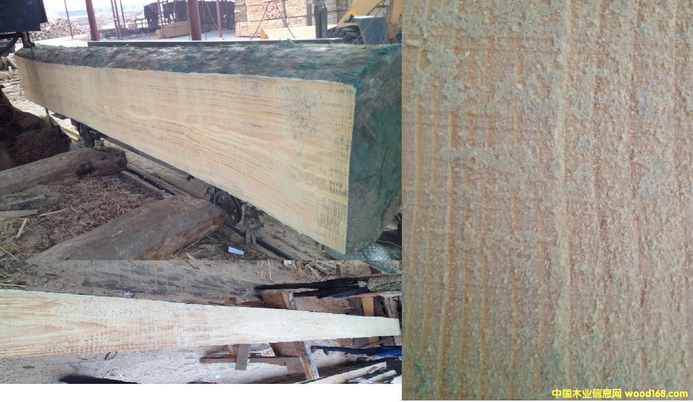 �D��ݗ���ɼҾ߲�  ������ ������ �c���ɷŴ�