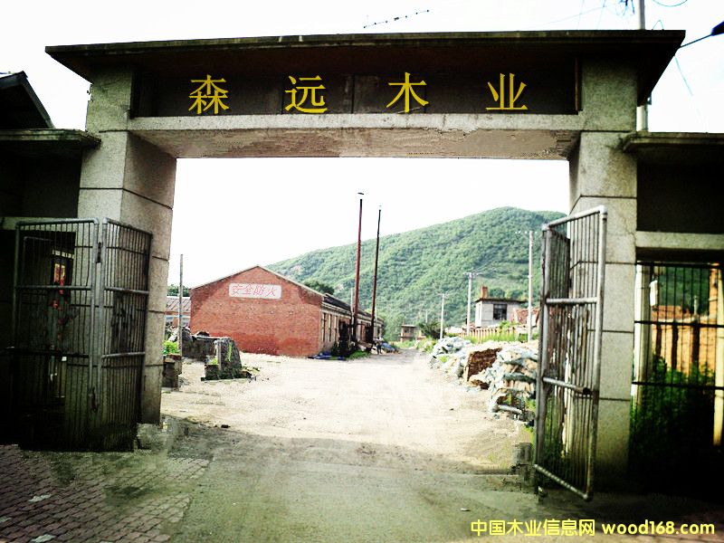 �D��ɭ�hľ���ӹ��S �c���ɷŴ�