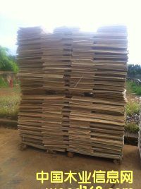 �D����ľƤ �c(di��n)���ɷŴ�