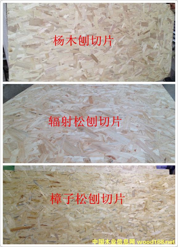 �D����ľ����Ƭ�W�ɰ� �c���ɷŴ�