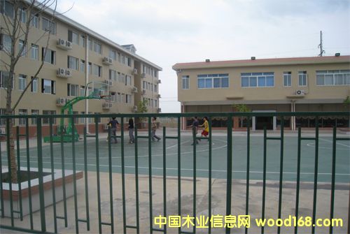 �D����� �c(di��n)���ɷŴ�