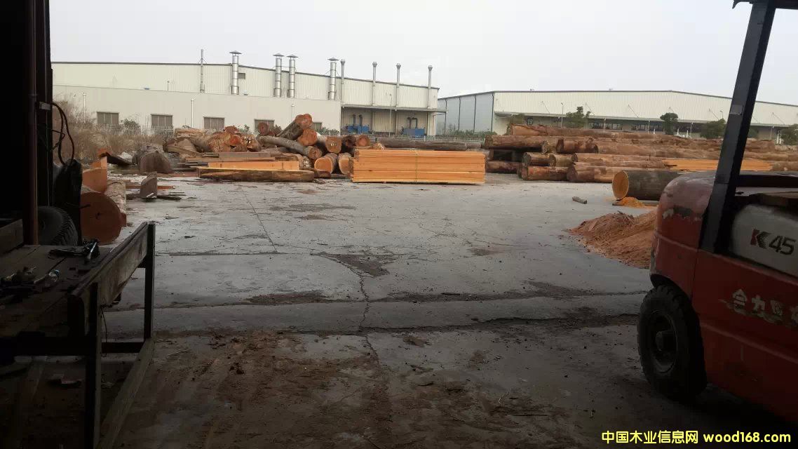 �D���Ϻ��]�iľ�I �c���ɷŴ�