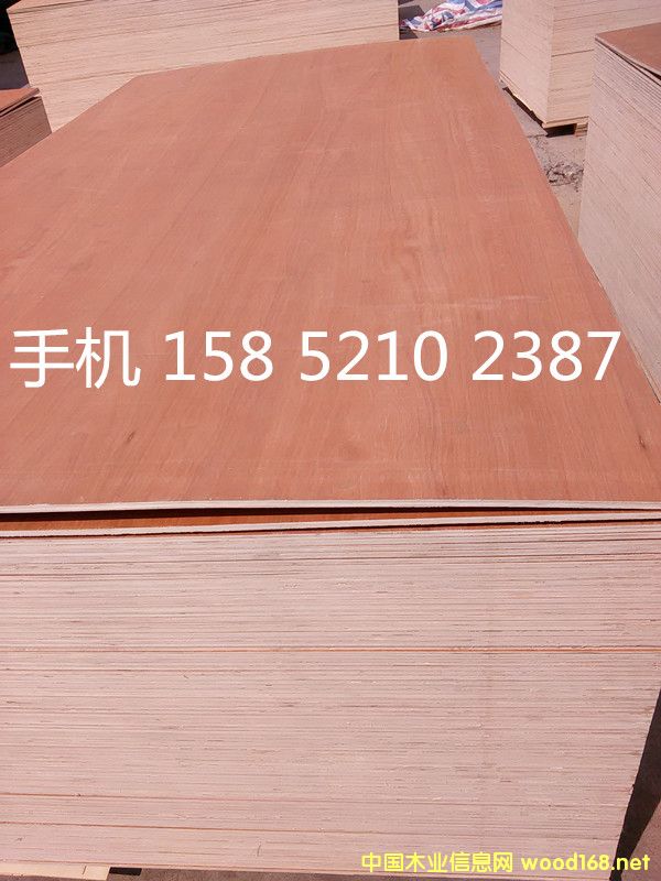 �D���N���z�ϰ� ��ľ�z�ϰ� �c���ɷŴ�