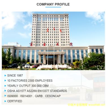 �D����˾��I���� �c���ɷŴ�