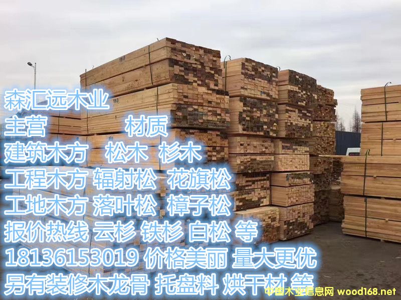 �D��01 �c���ɷŴ�