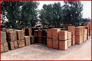 �D����Ȼ�L�� �c���ɷŴ�