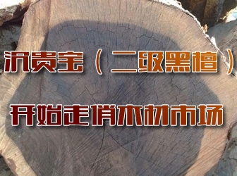 ���F���_ʼ����ľ���Ј�