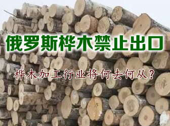 ���_˹��ľ��ֹ���ڣ���ľ�ӹ��ИI(y��)����ȥ�Ώģ�