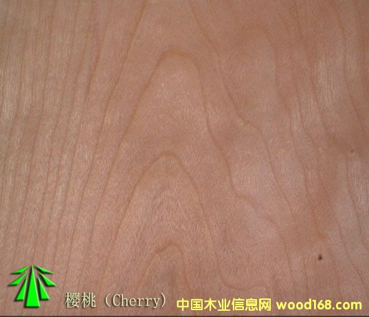 ���ҵ�Ԕ����B