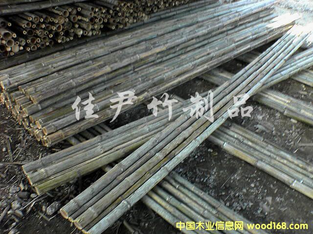 �������Ԕ��(x��)��B