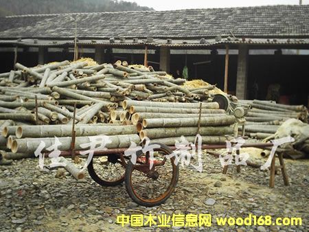 �������Ԕ��(x��)��B