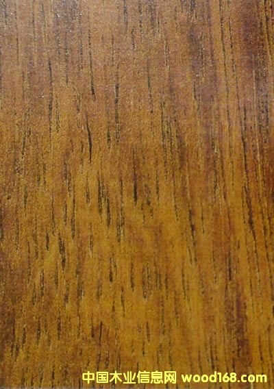 ���_˹�����ɵ�Ԕ����B