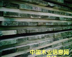 ������ACQ����ľ