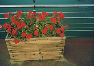 ����ľ�����Ԕ��(x��)��B