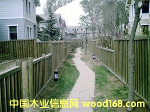 ������CCA����ľ