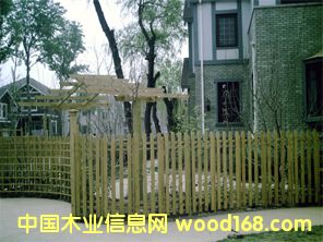 CCA����ľľ����