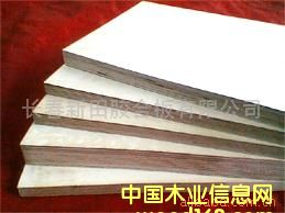 ������ˮ��ģ���Ԕ����B