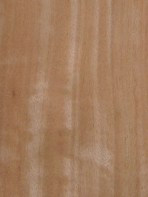 ������Ӱ����(�t���y)moabi(Q)