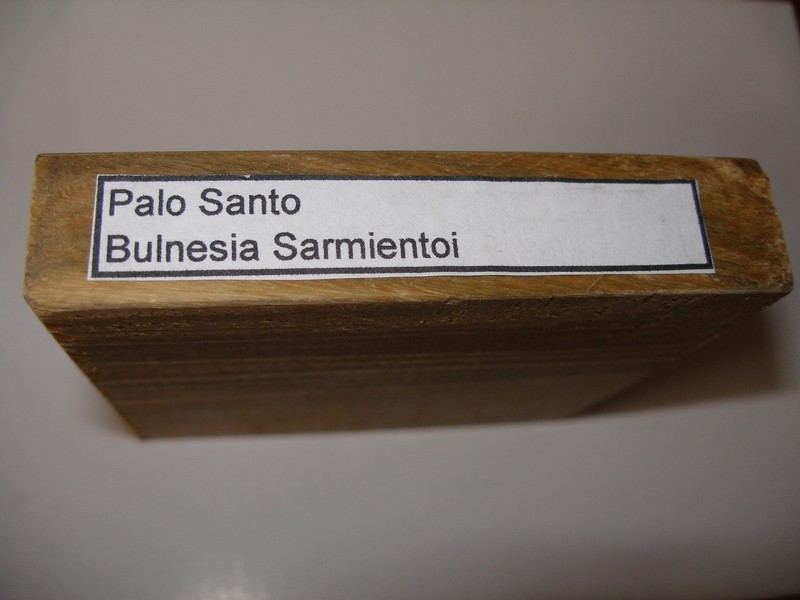 �G̴��Ԕ����B