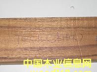 ��ľ��Ԕ����B