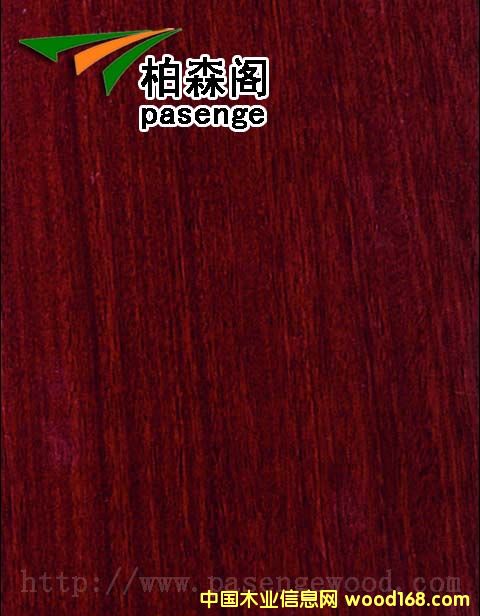 �t̴���Ԕ����B