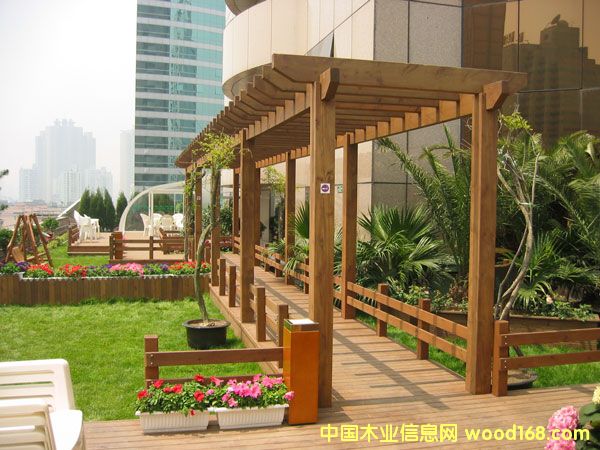 ����ľ����