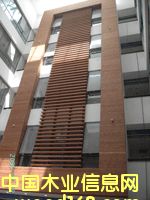 ���m̿��ľ