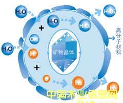 ꖹ❍ʿؓ�x��Ϳ��