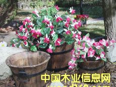 ͥ�@����Ʒ��Ԕ����B