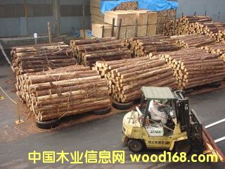 �c���鿴�ӹ����ϷŴ�DƬ