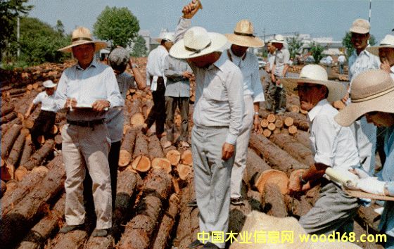 �c���鿴�S���ɷŴ�DƬ