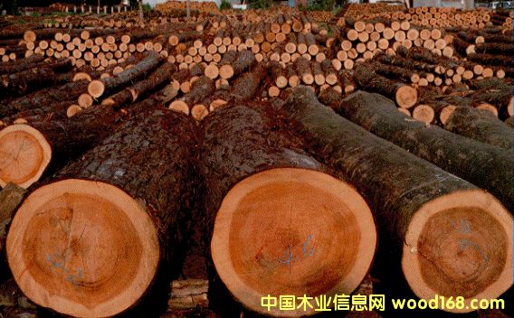 �c���鿴���ɷŴ�DƬ