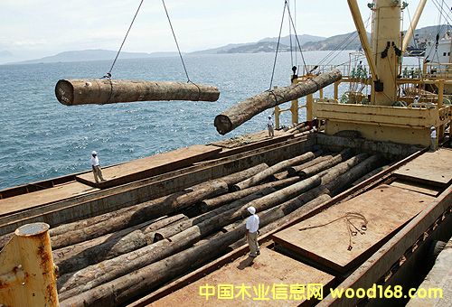 �c���鿴�t�ɷŴ�DƬ