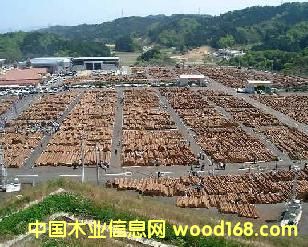 �c���鿴ľ�����Ŵ�DƬ