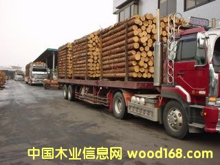 �c���鿴���ɷŴ�DƬ