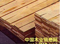 �c���鿴��ķŴ�DƬ